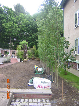 Sod & Lawn Care Services Greater Boston Area